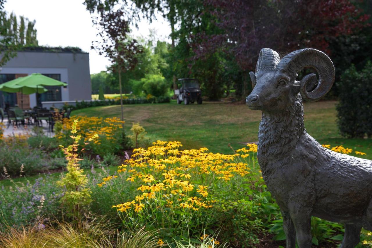Castlemartyr Resort Hotel Экстерьер фото The Bighorn Sheep statue at the entrance of the Bighorn Sheep Provincial Park